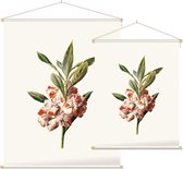 Impatiens Balsamina (Balsam White) - Foto op Textielposter - 90 x 120 cm