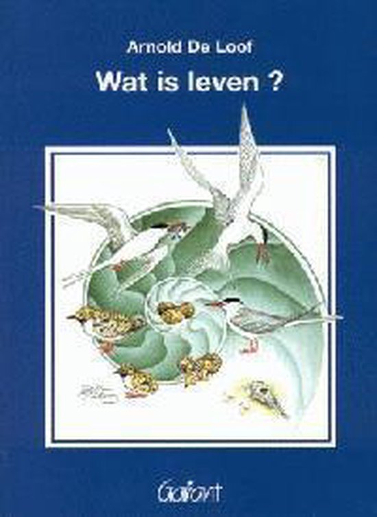 WAT IS LEVEN?