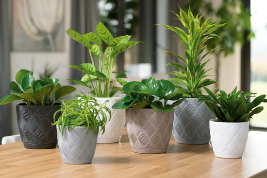 Lot De 100 Trous De Drainage En Maille Pour Pots De Fleurs - 4,5 Cm, Polyester, Empêche La Terre De Fuir