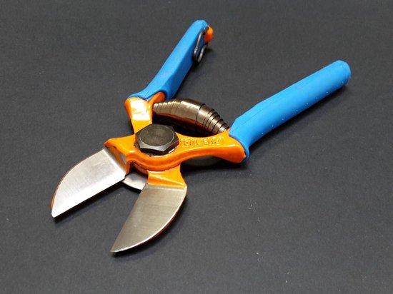 Lichte schaar met dubbele snit voor fruit - db 132/20 van Felco — afbeelding 3