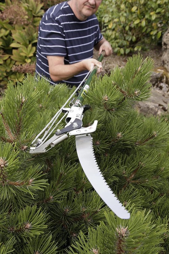 Razorsharp telescopische rupsschaar uit de Kew Gardens Collection van Spear & Jackson — afbeelding 4