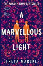 Boekomslag van 'A Marvellous Light' met een donkerblauwe achtergrond met een gedetailleerd patroon van roze en oranje bloemen en ranken. Twee mannen in oranje pakken staan centraal met de titel in grote witte letters.