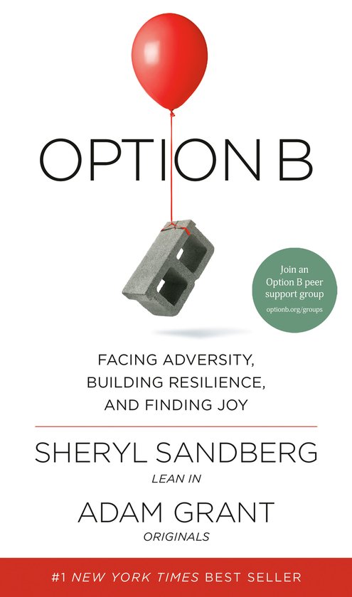 Option B - cover