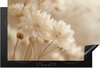 Beige, Nature