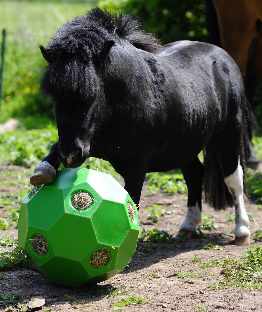 Epplejeck Voerbal Hay Play Groen