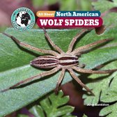 All About North American Wolf Spiders