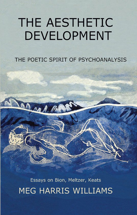 The Aesthetic Development - cover