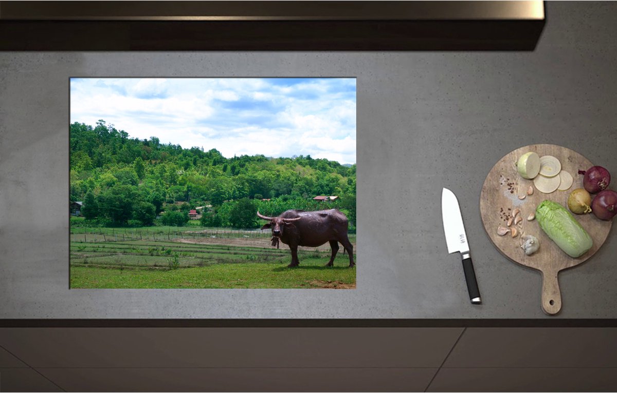 Inductieplaat Beschermer - Buffalo bij Groen Weiland aan de Rand van Bos - 70x52 cm - 2 mm Dik - Inductie Beschermer - Bescherming Inductiekookplaat - Kookplaat Beschermer van Wit Vinyl