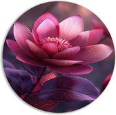 Lotusbloem wandcirkel - Bloem muurdecoratie rond - Wandschalen Blad - Landelijke schilderijen - Schilderij dibond - Woonaccessoires muurcirkel aluminium 70x70 cm