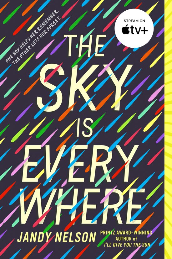The Sky Is Everywhere - cover
