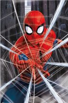 Spider-Man Gotcha Poster 61x91.5cm