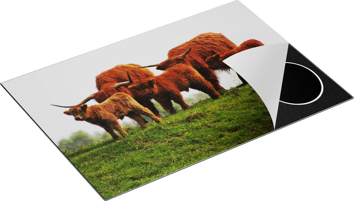 Chefcare Inductie Beschermer Schotse Hooglander Familie - 77x51 cm - Afdekplaat Inductie - Kookplaat Beschermer - Inductie Mat