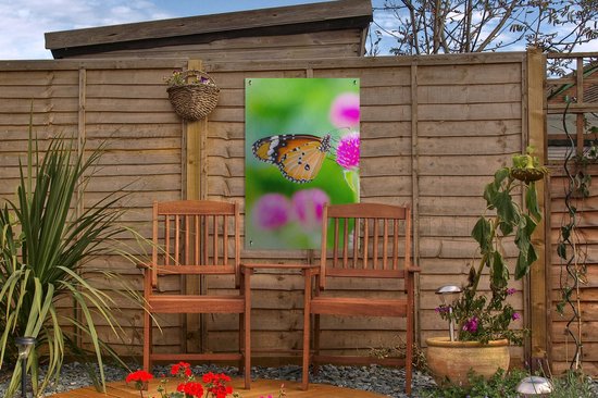 Affiche jardin - Papillon - Insectes - Fleurs - Fauna - Décoration de jardin - 40x60 cm - Toile jardin
