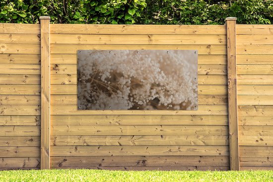 Affiche de jardin - Pampa - Herbe de la pampa plante de jardin - Plantes - Nature - Rose - 200x100 cm - Affiche de jardin fleurs - Jardin - Décoration murale - Décoration murale - Toile de jardin