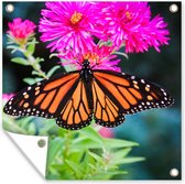 Tuinposter - Bloem - Vlinder - Roze - Lente - Tuindoeken voor buiten - 50x50 cm - Tuindoek