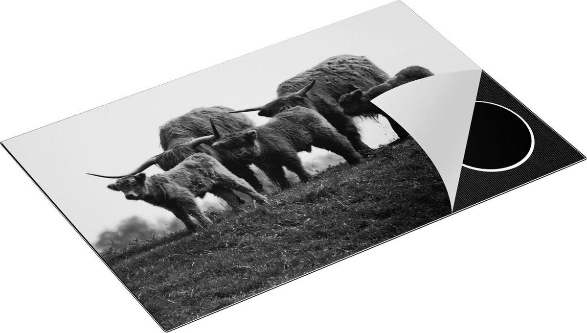 Chefcare Inductie Beschermer Schotse Hooglander Familie - Zwart Wit - 80x55 cm - Afdekplaat Inductie - Kookplaat Beschermer - Inductie Mat