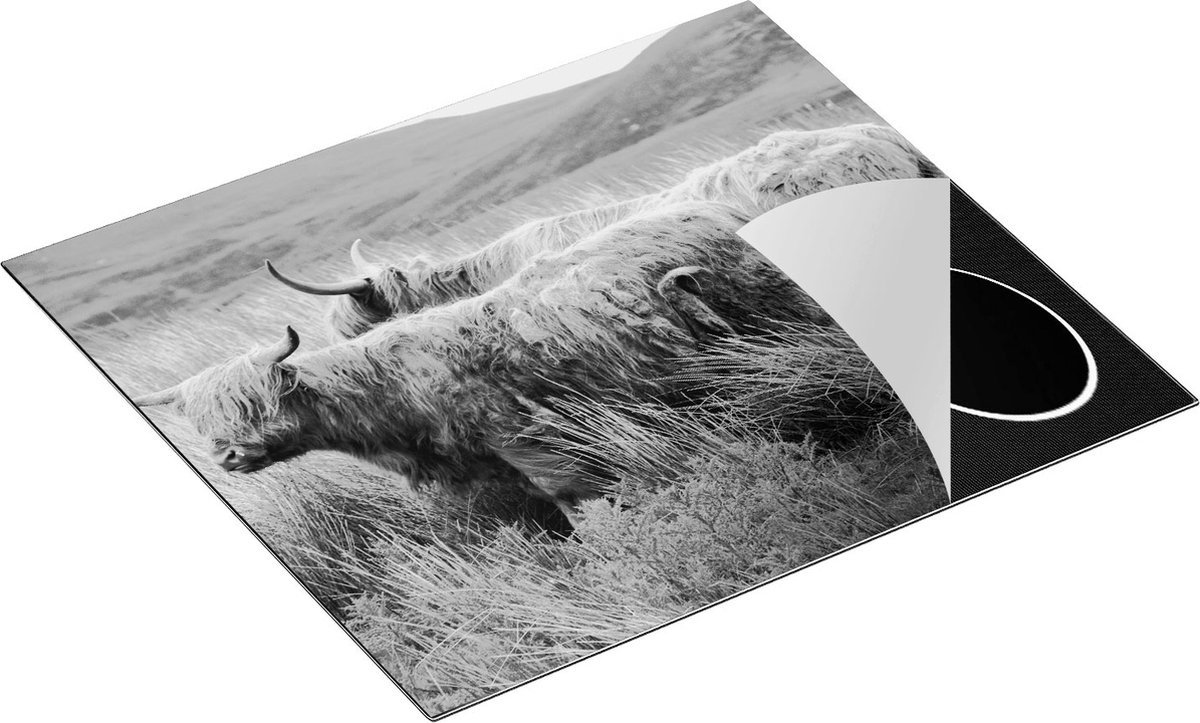 Chefcare Inductie Beschermer Twee Schotse Hooglanders in het Heuvelvelachtige Veld - Zwart Wit - 58,3x51,3 cm - Afdekplaat Inductie - Kookplaat Beschermer - Inductie Mat