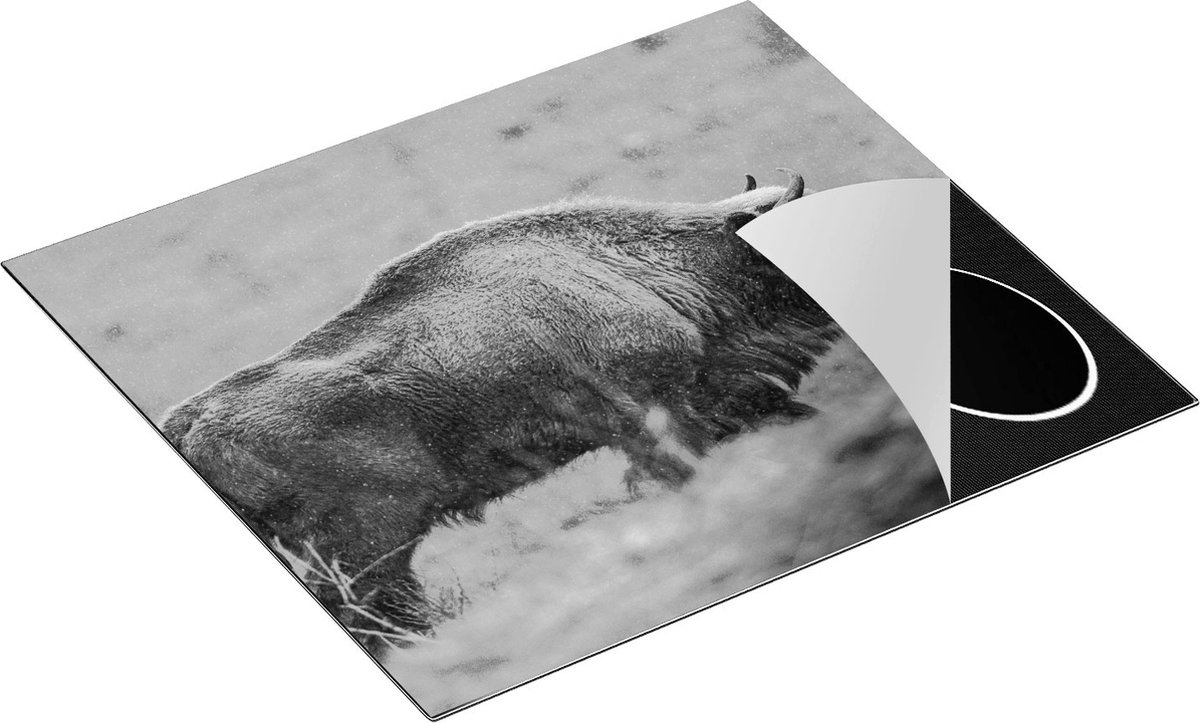 Chefcare Inductie Beschermer Bizon in het Gras - Zwart Wit - 60x52 cm - Afdekplaat Inductie - Kookplaat Beschermer - Inductie Mat