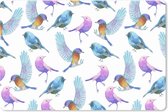 Muismat XXL - Bureau onderlegger - Bureau mat - Design - Meisjes - Kinderen - Vogels - 90x60 cm - XXL muismat