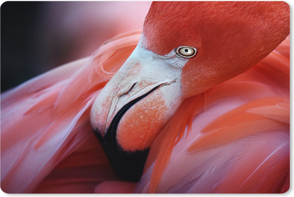 Muismat XXL 120x80 cm - Bureau onderlegger - Bureau mat Close-up van een flamingo - Bureaumat - Gaming mousepad xl - Bureaulegger groot - Computer deskmat