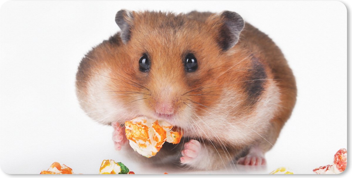 Muismat XXL - Bureau onderlegger - Bureau mat - Hamster eet kleurrijk voedsel - 80x40 cm - XXL muismat