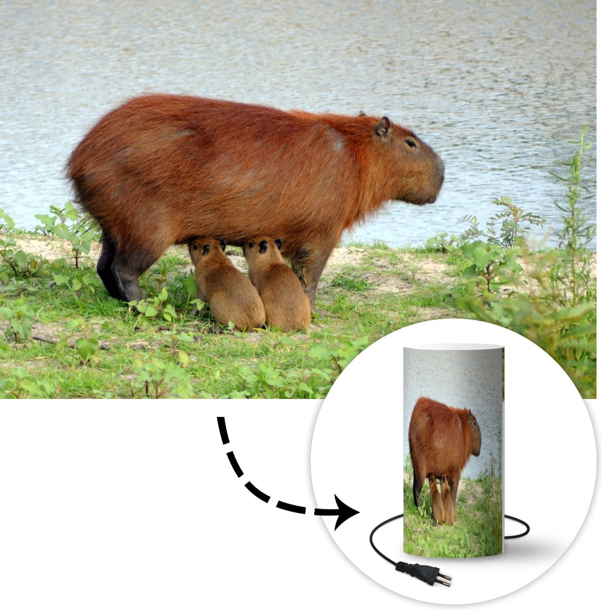 Capybara forme cochon d'inde veilleuse USB Rechargeable Table décoration  lampe chevet