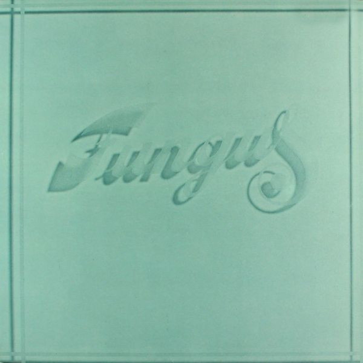 Fungus (LP)