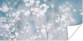Poster Takken - Sneeuw - Winter - Natuur - Botanisch - 120x60 cm