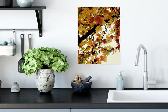 Affiche Arbres - Feuilles d'automne - Nature - 30x40 cm