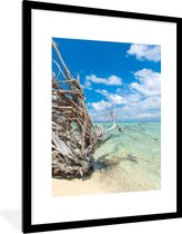 Fotolijst incl. Poster - Strand - Takken - Tropisch - Zee - 60x80 cm - Posterlijst