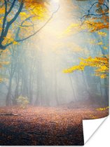 Poster Forêt - Brouillard - Automne - 60x80 cm