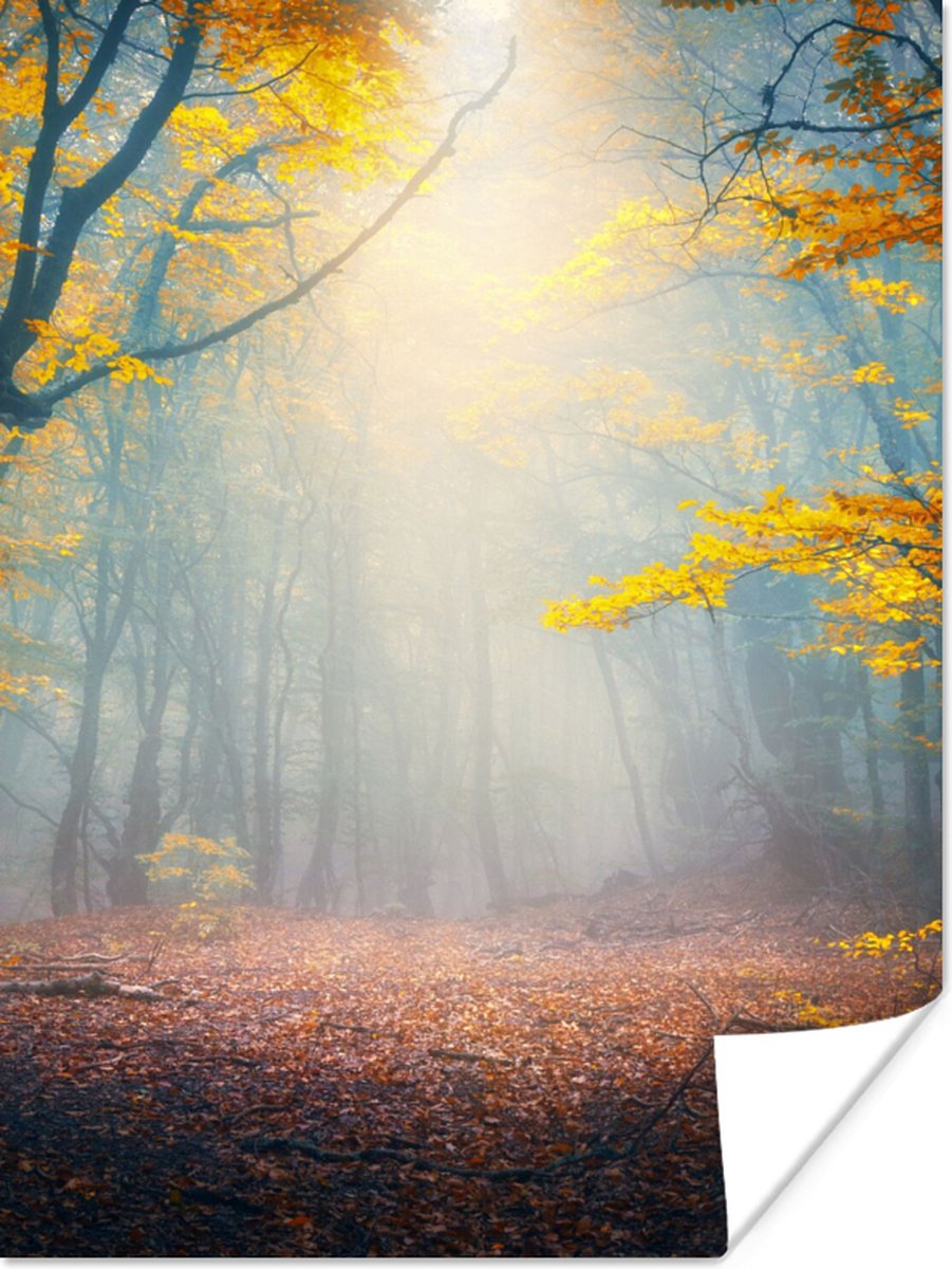 Poster Bos - Mist - Herfst - 60x80 cm