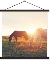 Porte-affiche avec affiche - Affiche scolaire - Paarden - Soleil - Animaux - 40x40 cm - Lattes noires