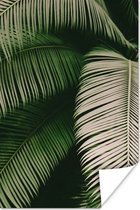 Affiche Feuilles de palmier - Été - Tropical - 40x60 cm