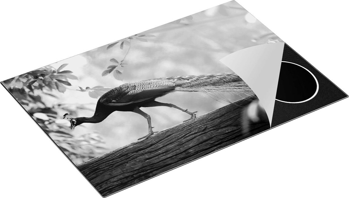 Chefcare Inductie Beschermer Pauw Loopt op een Tak in de Natuur - Zwart Wit - 75x55 cm - Afdekplaat Inductie - Kookplaat Beschermer - Inductie Mat