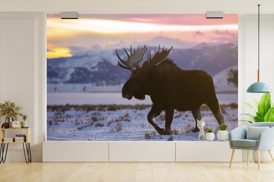Papier peint Papier peint photo en vinyle - Elk marche dans la neige largeur 390 cm x hauteur 260 cm - Tirage photo sur papier peint (disponible en 7 tailles)