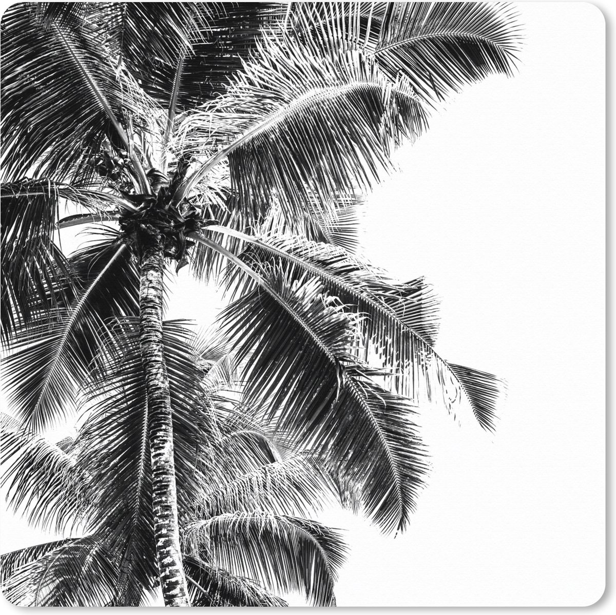 Muismat XXL 80x80 cm - Bureau onderlegger - Bureau mat Zomer - Palmboom - Wit - Zwart - Bureaumat - Gaming mousepad xl - Bureaulegger groot - Computer deskmat