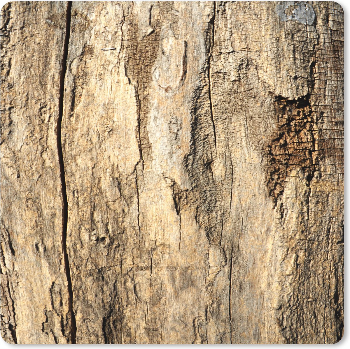 Muismat XXL 50x50 cm - Bureau onderlegger - Bureau mat Boomschors - Hout - Design - Vintage - Bureaumat - Gaming mousepad xl - Bureaulegger groot - Computer deskmat