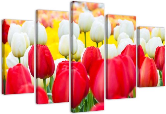 Trend24 - Canvas Schilderij - Witte En Rode Tulpen - Vijfluik - Bloemen - 100x70x2 cm - Rood