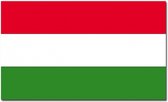 Vlag van het land Hongarije