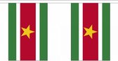 Buiten vlaggenlijn Suriname 3 meter - Surinaamse vlag - Supporter feestartikelen - Landen decoratie en versieringen