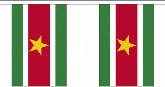 Buiten vlaggenlijn Suriname 3 meter - Surinaamse vlag - Supporter feestartikelen - Landen decoratie en versieringen