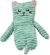 Magnetron warmte knuffel poes/kat mintgroen 24 cm - Warmte/koelte knuffel kat - Kruik knuffels voor kinderen/jongens/meisjes