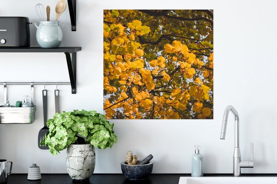Affiche Feuilles - Arbre - Nature - Saisons - 50x50 cm