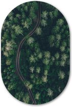 Muurovaal The Green Road - WallCatcher | Geborsteld Aluminium 100x150 cm | Ovalen schilderij | Wandovaal De groene bosweg