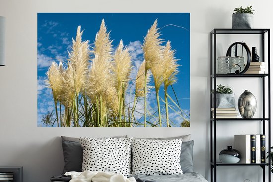 Stickers muraux - Herbe de la pampa - Plante - Nature - 160x120 cm - Feuille adhésive XXL