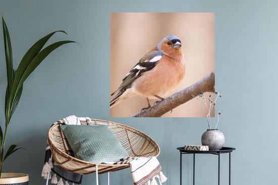 Stickers muraux - Film autocollant - Vogel - Animaux - Pinson - 50x50 cm - Film adhésif - Stickers muraux Chambre d'enfant - Papier peint autocollant - Papier peint autocollant - Film autocollant