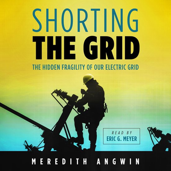 Shorting the Grid - cover
