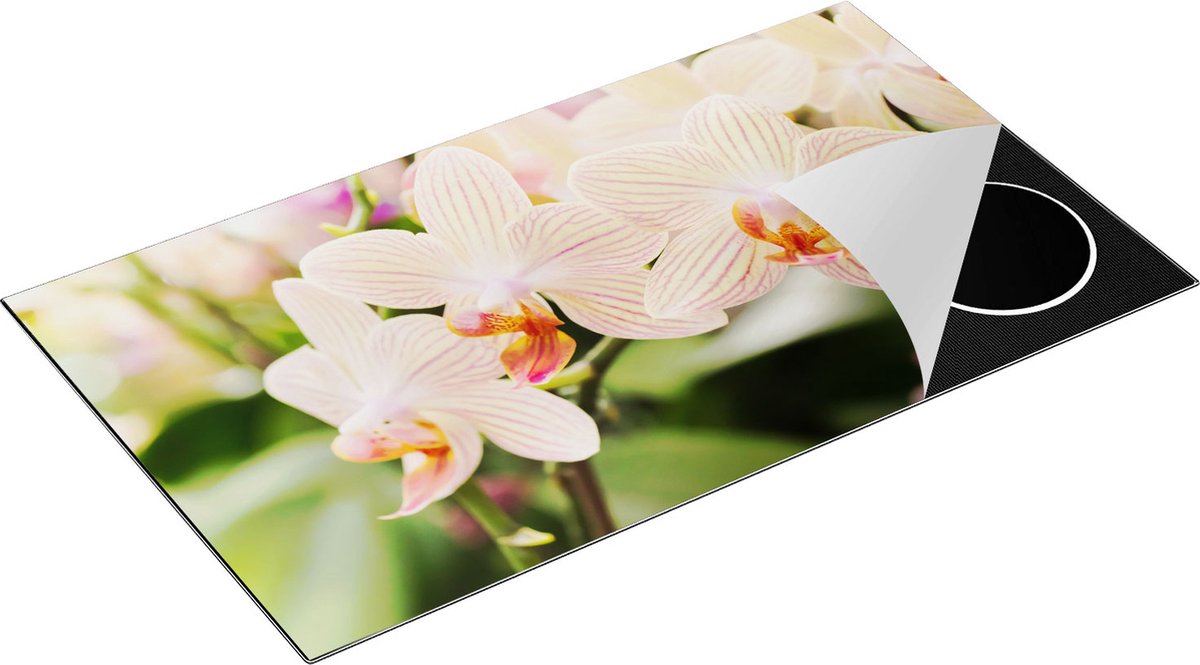 Chefcare Inductie Beschermer Gestreepte Witte Orchidee Bloemen - 90x52 cm - Afdekplaat Inductie - Kookplaat Beschermer - Inductie Mat