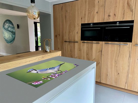 Chefcare Inductie Beschermer Blauwe Gaai Vogel op een Tak - Kleur - 95x55 cm - Afdekplaat Inductie - Kookplaat Beschermer - Inductie Mat